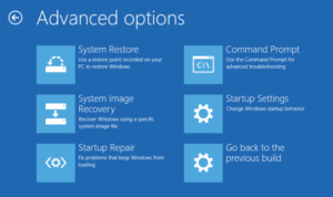 Windows Recovery Options